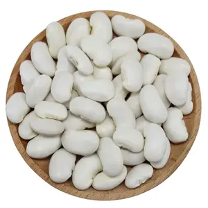 Penjualan laris grosir kacang putih alami kacang gula putih kacang ginjal putih Crop baru