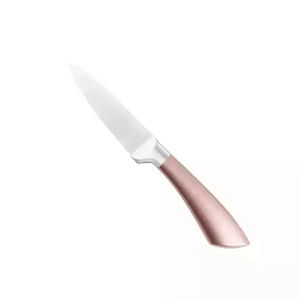 Offre Spéciale : Ensemble de 4 Couteaux de Cuisine Écologiques en Acier Inoxydable avec Manche Creux en Plastique Coloré – Couteaux de Chef pour la Découpe - Product Image 5
