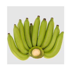 Bananas Cavendish Verdes Orgánicas Frescas al por Mayor de Alta Calidad 25 kg Alemania - Product Image 6