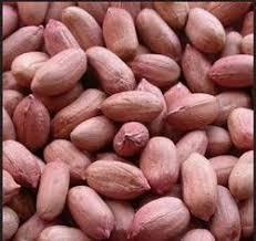 Arachides audacieuses-Qualité supérieure Riche Texture croquante Saveur intense de noisette Goût naturel parfaitement rôti Snacking sain Cuisson - Product Image 3