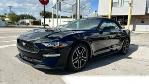 (W&T) PROMO Ventes 2022 FORD MUSTANG GT 2DR COUPE (5.0L 8CYL 10A) VOITURE D'OCCASION - Product Image 5