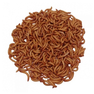 Alimento para Aves de Fábrica de Alimentos para Mascotas, 100g 200g 500g 1000g, Empaque a Granel, Etiqueta Privada OEM, Gusanos de Harina Secos - Product Image 6