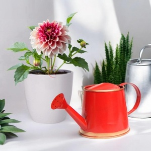 Regadera de Metal adorable hecha a mano, lata decorativa de jardín de calidad impresionante recubierta de polvo rojo para suministros de riego - Product Image 2