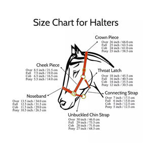 Super Soft Horse Halter Combo Personnalisé Violet Nylon PVC Cuir Dernier Style Occidental Indien Fabricant - Product Image 5