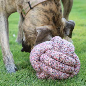 Collection de jouets pour chiens en corde de nylon Red Bliss Bean - Product Image 3