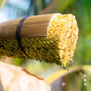 Néctar de Flor de Coco Premium al por Mayor para Exportación - Product Image 4