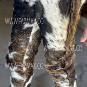 Hairs on <b>Leather</b> Pant New Design <b>Men</b> Cowhide <b>Leather</b> Pants Trouser with Customised Logo - Product Image 3