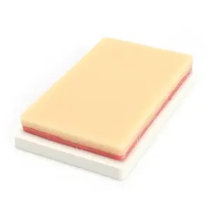 Ensemble d'instruments chirurgicaux orthopédiques vétérinaires Alps Veterinary Orthopedic 1.6 Reconstruction Locking Plate Instrument Kit - Product Image 5