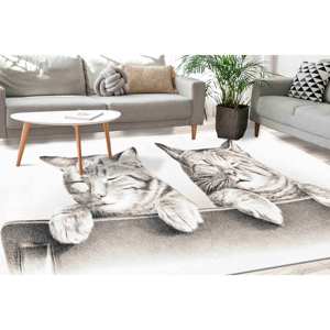 Alfombra de Dos Gatos Adorables, Alfombra Decorativa para el Hogar, Alfombra de Animales Encantadores, Alfombra de Gatos, Alfombra Suave No Tejida - Product Image 4