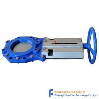 Katup Gerbang Pisau Standar DIN EN PN10 A4 dengan Spindle Non-Rising dan Handwheel DN150 Seri EN558 20 K1