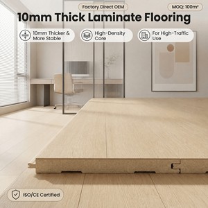 Plancher stratifié imperméable 10 mm AC4 avec noyau HDF |   Installation par système <span class=keywords><strong>de</strong></span> verrouillage à clic |   Vente en gros directe d'usine OEM - Product Image 1