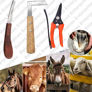Kit profesional de herramientas de corte de pezuñas de herrador de caballos de alta resistencia, herramientas de herrador de instrumentos veterinarios a la venta, características reutilizables - Product Image 5