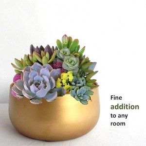 Venta al por mayor de macetas de flores de metal dorado para sala de estar, dormitorio, decoración interior del jardín del hogar al mejor precio - Product Image 6