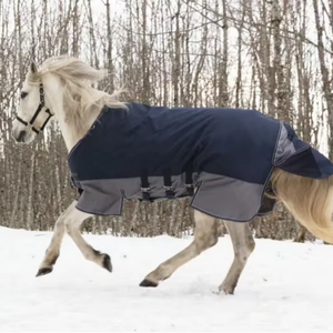 พรมม้าฤดูหนาวกันน้ำพร้อมดีไซน์ที่กำหนดเองได้และผ้าโพลีเอสเตอร์100เปอร์เซ็นต์ตอนนี้มีจำหน่ายในราคาสบายกระเป๋า - Product Image 1