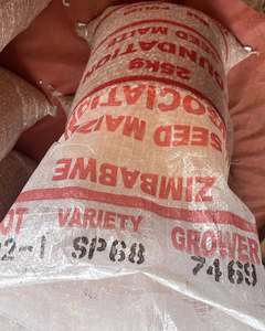 Maïs jaune pour l'alimentation animale, prix compétitif, 12% d'humidité, sacs PP de 50 kg, haute conversion alimentaire - Product Image 5