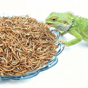 מכירות ישירות במפעל. אספקה בשפע של מלומעים צהובים מיובשים וג 'קים יבשים. אריזה יכולה להיות מותאמת אישית. - Product Image 2