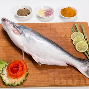 Pescado Pangasius Congelado Entero de Vietnam, 10 kg, con 24 Meses de Vida Útil, Redondo, Orgánico de Alta Calidad, IQF - Product Image 4