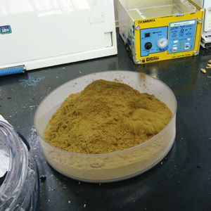 Kunstmatige Aanplant Epimedium Leaf <span class=keywords><strong>Extract</strong></span> Poeder Food-Grade Organische <span class=keywords><strong>Yin</strong></span> <span class=keywords><strong>Yang</strong></span> <span class=keywords><strong>Huo</strong></span> Uv Test Icariin 10% Hplc Drumverpakking - Product Image 3