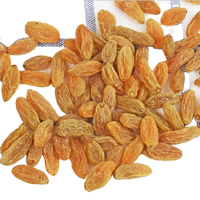 Raisins secs Super Golden Grape, conservés dans l'eau, sucrés, acidulés, salés, emballés sous vide, en vrac, fruits de Belgique