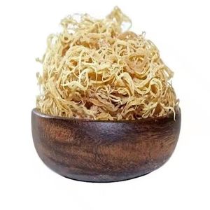 สาหร่ายเกลือ Eucheuma cottonii บรรจุเป็นกลุ่มจากเวียดนาม - Product Image 2