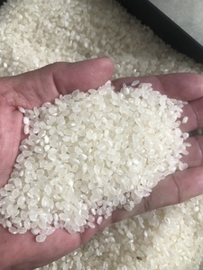 5% คาลโรส/ญี่ปุ่นนิกา/ซูชิแบบญี่ปุ่นเมล็ดพืชไรซ์อาโรซสำหรับอาหารจานหลักเอเชียแบบอบแห้งแอนนาโด - Product Image 5