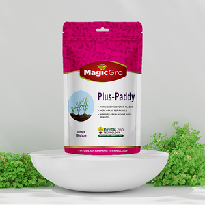 MagicGro Plus Paddy Growth Promoter Fórmula en polvo de última generación - Product Image 1