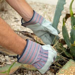 Guantes de Trabajo de Cuero Vacuno Canadiense 707 de Alta Calidad con Puño de Goma, Forro de Algodón, Anti-Impacto - Product Image 6