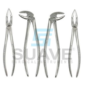 Equipo Dental al mejor precio Fórceps de extracción Dental Steeliness Fórceps de extracción Dental de acero por SUAVE INSTRUMENTS - Product Image 1