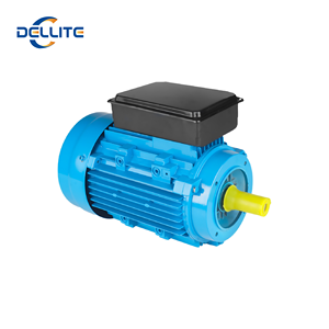 Dellite Single phase động cơ cả<span class=keywords><strong>m</strong></span> ứng tiết kiệ<span class=keywords><strong>m</strong></span> năng lượng 220V 0.75HP tụ bắt đầu AC cho ghép hình hiệu quả cao tùy chỉnh - Product Image 2