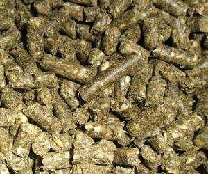 Alimentation animale de haute qualité à 65 % de farine de porc et 46 % de protéines pour chevaux, bovins et porcs, à vendre - Product Image 6