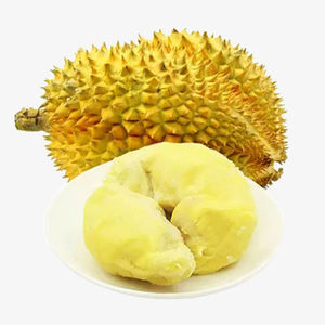 Durian frais de qualité supérieure à prix compétitif/Durian congelé - Product Image 4