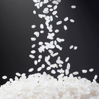 Riz Jasmin ST25 à Grains Longs de Haute Qualité du Vietnam – Vente en Gros de Riz Brun Noir Parboiled Parfumé pour la Cuisson