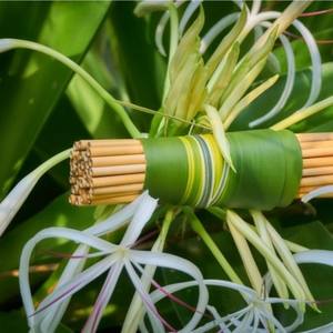 Paja de bambú con logotipo personalizado de alta calidad, el precio más barato, con cepillo y Bolsa, hecho en VIETNAM ( whatsapp + 84-948-381-386) - Product Image 5