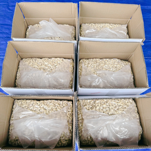 พร้อมส่ง เมล็ดถั่ว แคชเมียร์ SANTIGO ขนาด W180 W240 W320 ระยะเวลาจัดส่งสั้น ขายส่งเมล็ดแคชเมียร์ - Product Image 1