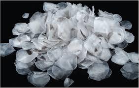 ÉCHELLES DE POISSON NATURELLES SÉCHÉES POUR SOURCE DE COLLAGÈNE - Product Image 6