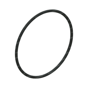 Anillo de Sellado ORZF07 para ORZF07 6HP26, 255 mm - Product Image 1