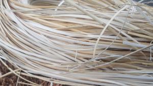 Noyau de rotin en osier naturel Vietnam de qualité supérieure rouleau de matière première-noyau de rotin pour meubles taille personnalisée - Product Image 6