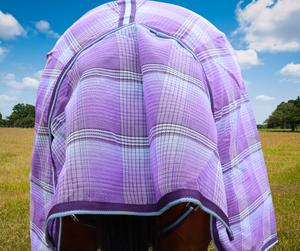 Manta de Malla para Caballo con Logotipo Personalizado, Protección UV y Transpirable, Manta de Verano para Caballo - Product Image 3