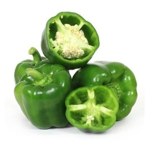 Pimiento fresco, chile fresco, pimiento rojo fresco listo para transportar, buena calidad, exportación directa - Product Image 1