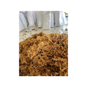 Algas marinas secas Eucheuma Cottonii de grado premium cosechadas en aguas limpias de Vietnam adecuadas para varios usos industriales - Product Image 1