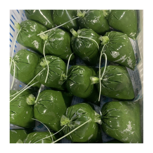 Calidad de exportación de hoja de yuca congelada de Vietnam | Proveedor mayorista de hoja de yuca picada de alto grado para distribución internacional - Product Image 4