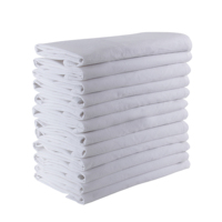 Ensemble de 24 serviettes en coton blanc 100% - Serviettes en tissu de sac à farine - Style moderne et luxueux - Réutilisables - Pour la cuisine, la table, les restaurants - Série Neolino