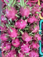 Verse Vietnamese rode drakenvrucht – exportkwaliteit, ideaal voor Indiase groothandels