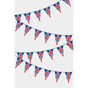 Izlanda Triangular Rainbow Flag Bunting Digital Printed with Fiberglass Nylon Plastic Silk Flags - Product Image 1