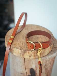 Conjunto de Collar y correa para perro, 32mm de ancho - Product Image 6