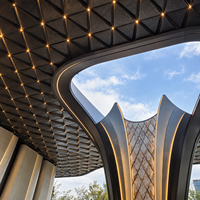 Auvent d'entrée en métal sculptural et pavillon architectural avec structure personnalisée pour hôtel, place publique et résidence
