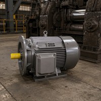 Moteur synchrone à aimants permanents WPDJ PMSM à haute efficacité pour laminoir, certifié CE