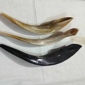 Meilleure qualité corne de bélier Shofar corne naturelle Shofar pour souffler et religieux but casher Shofar de A Z artisanat - Product Image 6