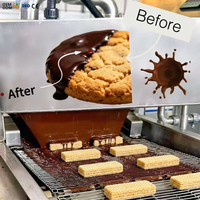 Nouvelle arrivée : Machine à enrober le chocolat multifonctionnelle avec lait pour la production de glaces et de gâteaux, haute productivité, utilisation en boulangerie