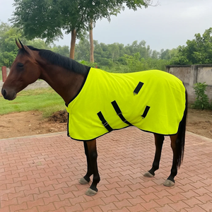 Caballo de alta calidad nuevo diseño Alfombra de lana color amarillo - Product Image 2